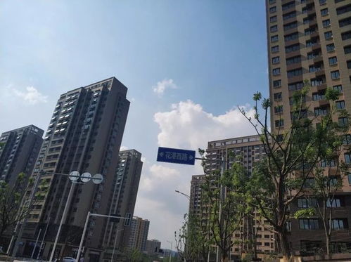 秒殺一眾商品房 南京這家安置房交付，實景太驚艷了