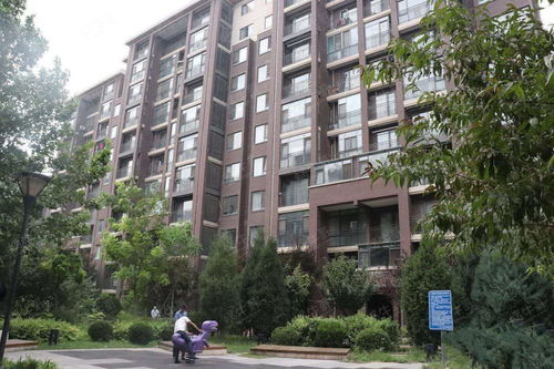 北五環領秀慧谷出新盤 商品房實力碾壓萬橡悅府，性價比更勝一籌