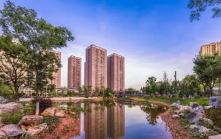 遂寧房價是否迎來轉折？河東拍出兩宗住房用地，成交價格出乎意料